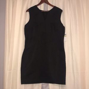 NWT!! Sleeveless Black Textured Dress